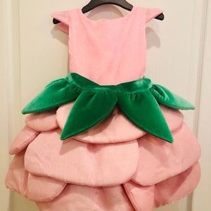 Chasing Fireflies Rose petal dress- Used